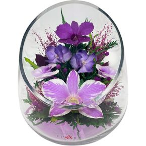 Fiora Flower Elegant Orchid Arrangement in Glass Vase | Preserved Real Orchids Lasting 5 Years | Ideal for Home Decor or Romantic Gift (Florlet)