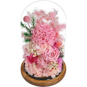 Loveliome Long Lasting Rose Carnations Fresh Flowers Present for Women Mom Grandma, Real Foever Delivery Prime Flowers Bouquet in Glass Dome LED Light with for Home Decor, Purple
