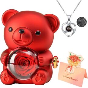 Teddy Bear with Preserved Rose,Romantic Everlasting Rose Bear with I Love You Necklace 100 Languages and Beautiful Gift Box,Mother's Day,Anniversary,Birthday and Valentine's Day Surprise Gifts (Red)