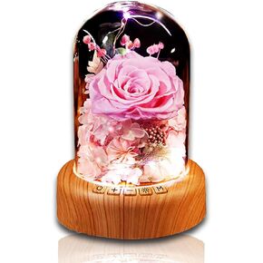 Preserved Flowers Rose with Bluetooth Speaker with Lights Gifts for Mom, Grandma, Wife, or Girlfriend on Mothers Day Valentines Christmas Anniversary Preserved Roses in Glass Dome (Pink)