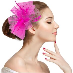 Unpifolov Fascinators Hats Flower Mesh Feathers Headwear for Girls Women Tea Party Wedding Derby Cocktail Hair Clip Headband