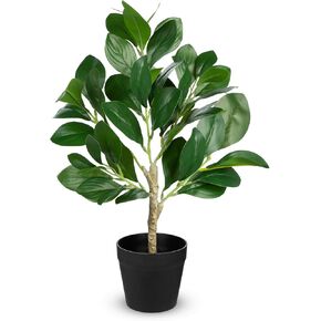 Hollyone Plants INGONTIAL INDOOR 17.7 "Faux Peperomia Leaf Ficus Plant نباتات حريرية مزيفة محفوظة بوعاء للمكتبات المنزلية على رف المزرعة المطبخ المطبخ غرفة نوم غرفة نوم دائمة الخضرة