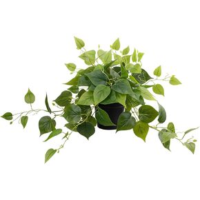 LOYWREE Artificial Scindapsus Aureus Fake Pothos Plants in Black Pots - Realistic Faux Indoor Greenery for Home, Office, Desk, Shelf, Living Room, Bedroom, Balcony, Patio & Garden Decor