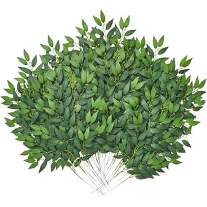 Serwalin 16pcs الاصطناعية الإيطالية Ruscus Greenery Sects ، 21.6 '' أوراق خضراء مزيفة رذاذ نباتات الحرير لحفل الزفاف قوس باقة مركزية مزهرية مزورة المنزل