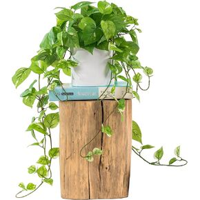 MY ROVALA Artificial Plants for Home Decor Indoor in Pot, Fake Hanging Plants Realistic Faux Plants Indoor Fake Plants for Living Room Decorative Potted Plants for Bedroom, Silk Pothos (Dark Green)