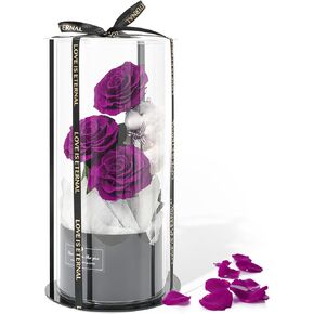Flowers Forever Roses in A Box, 3 Real Roses with Stems and Bear, Eternal Rose Gifts for Her,Birthday Gifts for Women, Mom,Girlfriend,Grandma,Daughter,Pink