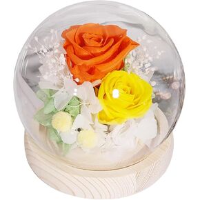 Preserved Real rose,Long-Lasting Real Flowers with Small Round Glass Dome for Birthday, Mother's Day,Any Holiday Home Decoration