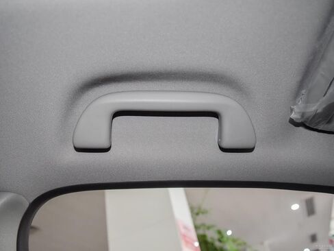 Automatic Roof Handle Grab Rail LH = RH for Honda Accord 09-23, Civic 06-22, CRV 07-22, Pilot 09-23, Fit 09-20, HRV, Insight, Odyssey, (Light Grey, 1Pcs) in Kuwait