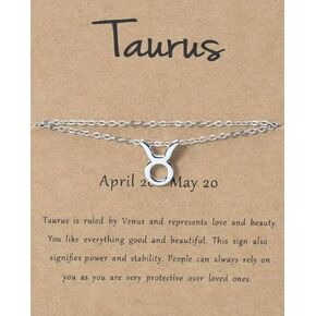 Silver Zodiac Sign Anklet – Elegant 925 Sterling Silver Double-Layer Chain with Horoscope Charm