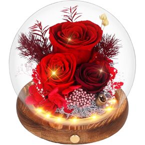 Preserved Rose in Glass Dome, Flowers for Delivery Prime, Mother's Day Valentine's Day Gifts for Women, Birthday Presents for Wife/Mom/Grandma, Real Forever Fresh Roses with Greeting Card, Gift Box
