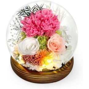 Preserved Flowers Gifts for Women, Long-Lasting Real Flowers in Glass Dome, Valentine‘s Day Mother Day Birthday Gifts for Women Mom Grandma Wife Girlfriend Delivery Prime(Champagne Rose)