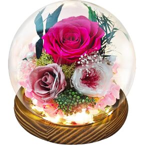 Preserved Real Rose Gifts for Her- Red Forever Rose in Glass Dome with LED for Women Mom Girlfriend Grandma Wife Birthday Mother's Day Christmas Valentines Day Gifts