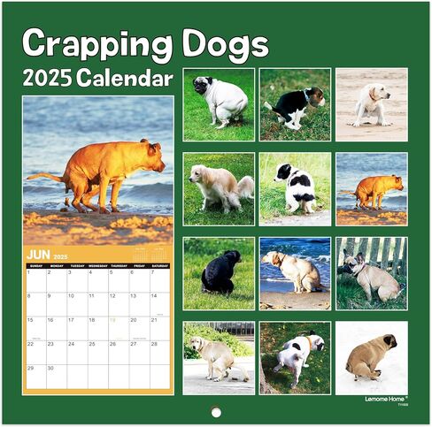 Calendar 2025 - Wall Calendar 2025, 2025 Calendar with Thick Paper, 15" x 11.5", Jan.2025 - Dec.2025, Twin-Wire Binding + Hanging Hook + Ruled Blocks with Julian Date - Classic Black in Saudi Arabia