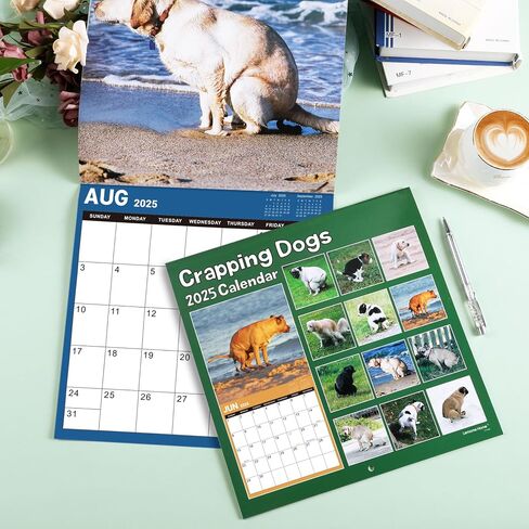 Calendar 2025 - Wall Calendar 2025, 2025 Calendar with Thick Paper, 15" x 11.5", Jan.2025 - Dec.2025, Twin-Wire Binding + Hanging Hook + Ruled Blocks with Julian Date - Classic Black in Saudi Arabia