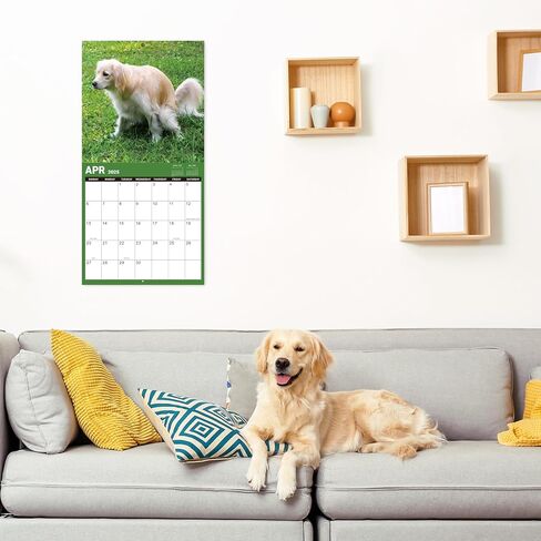 Calendar 2025 - Wall Calendar 2025, 2025 Calendar with Thick Paper, 15" x 11.5", Jan.2025 - Dec.2025, Twin-Wire Binding + Hanging Hook + Ruled Blocks with Julian Date - Classic Black in Saudi Arabia