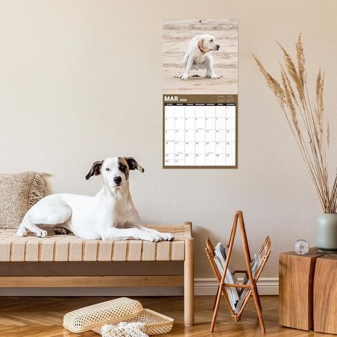 Calendar 2025 - Wall Calendar 2025, 2025 Calendar with Thick Paper, 15" x 11.5", Jan.2025 - Dec.2025, Twin-Wire Binding + Hanging Hook + Ruled Blocks with Julian Date - Classic Black in Saudi Arabia