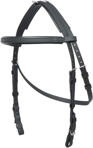 Hackamore Bridle Cob/Black in Saudi Arabia