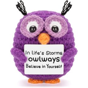 Positive Crochet Animals Handmade Owl with Encouragement Card Crochet Owl Gifts for Women Room Office Car Decor