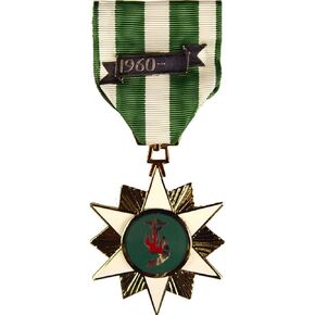 HMC Vietnam Campaign Medal - Green, Stars, Adult Male, Full Size, Military