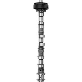 VEVOR Engine Camshaft, 05184378AF 05184378AH 5184378AE 5184378AF 5184378AD 5184378AG Cam Replacement, Fit 2018 Jeep Wrangler JK, 2011-2019 Dodge Journey, 2013-2018 Ram 1500, 2012 Ram C/V Base, 3.6L V6