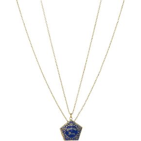 Alex and Ani Harry Potter™ Chocolate Frog Necklace Set