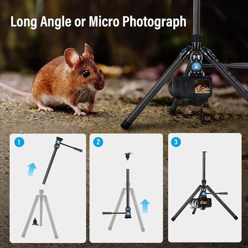 SIRUI 60" Carbon Fiber Tripod for Camera with 360° Panoramic Ball Head, Arca QR Plate, Compact Lightweight 2.1lbs Travel Tripod for DSLR Video Camcorder, Max Load 10kg, Traveler X-III in Saudi Arabia