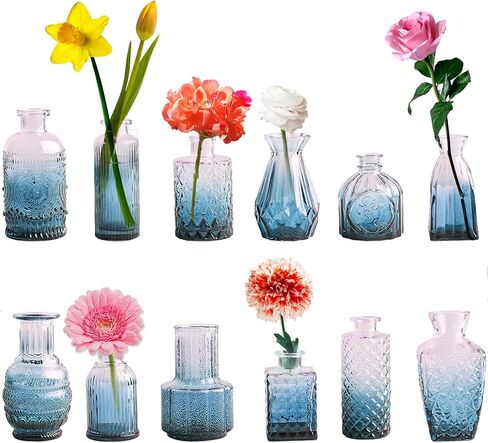 Glass Bud Vases Set of 12, Small Clear Vases for Centerpieces, Mini Glass Vases in Bulk, Vintage Vases Assorted Tiny Flower Vase for Baby Shower Wedding Floral Arrangements Home Table Decorations in Saudi Arabia