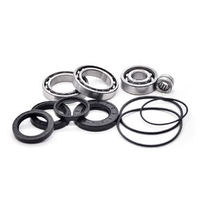 FKG Rear Differential Bearing Kit fit for 1988-2000 Honda FourTrax 300 TRX300FW 4x4, 1988-2000 Honda FourTrax 300 TRX300 2x4