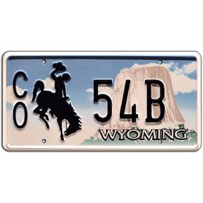 Longmire | CO 54B | Metal Stamped License Plate