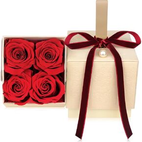 Kalolary Preserved Roses, Long-Lasting Preserved Fresh Flowers for Mother's Day, Preserved Roses in a Box Romantic Gifts for Anniversary, Birthday, Wedding, Valentine's Day(4Pcs Red Roses)