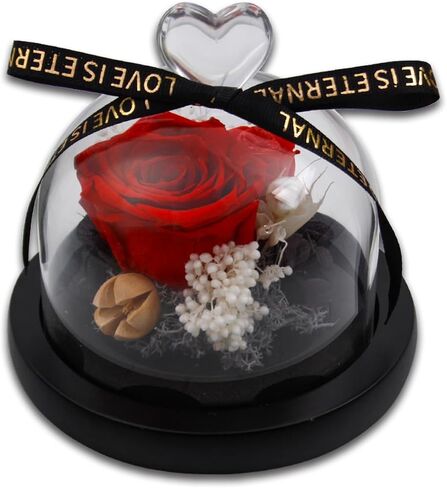 Preserved Rose Flowers for Women, Preserved Flowers in Glass Heart Design Dome, Forever Real Roses Gift for Mother's Day, Christmas, Anniversary and Birthday (Purple) in Saudi Arabia