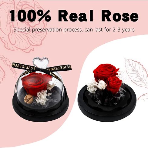 Preserved Rose Flowers for Women, Preserved Flowers in Glass Heart Design Dome, Forever Real Roses Gift for Mother's Day, Christmas, Anniversary and Birthday (Purple) in Saudi Arabia