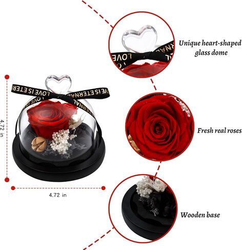 Preserved Rose Flowers for Women, Preserved Flowers in Glass Heart Design Dome, Forever Real Roses Gift for Mother's Day, Christmas, Anniversary and Birthday (Purple) in Saudi Arabia