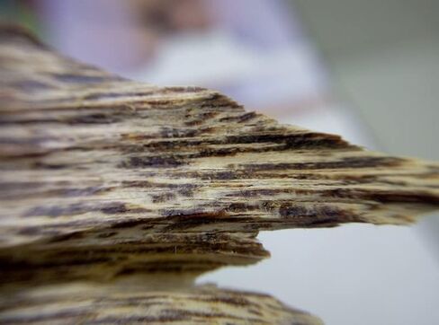 Incense Vietnam Nha Trang Agarwood ​Lying incens 7-Star Agarwood 60 Sticks (★★★★★★★7 Stars Agarwood 60 sticks) in Saudi Arabia