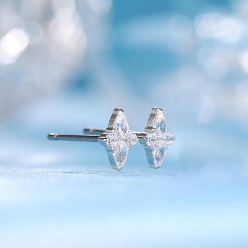 Limerencia F136 Pure Titanium Pure Hypallergenic Gradant STURS ، G23 Small Small Smate Cubic Zirconia Arrings for Women's Consitive Earns in Kuwait