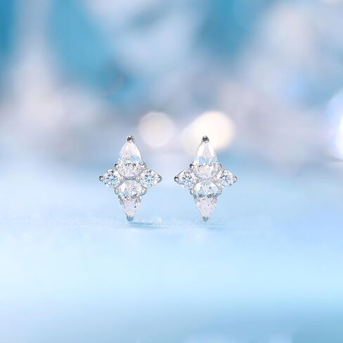 Limerencia F136 Pure Titanium Pure Hypallergenic Gradant STURS ، G23 Small Small Smate Cubic Zirconia Arrings for Women's Consitive Earns in Kuwait