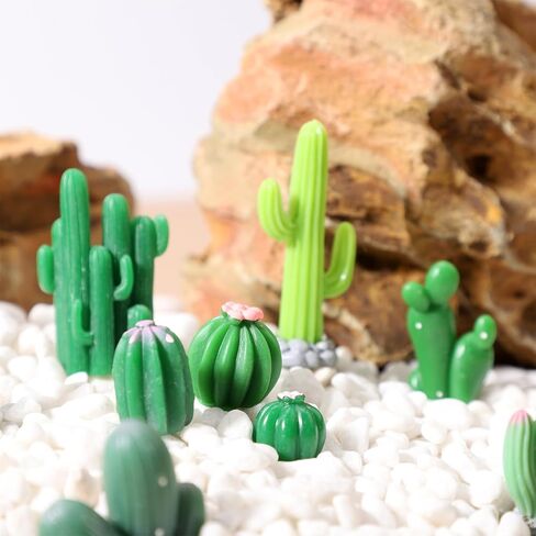 36 Pcs Mini Resin Cactus, Miniature Resin Cactus Figurines 12 Styles Cute Small Artificial Green Cactus Succulent Plants for Garden Flower Pot Bonsai Tiny Micro Landscape Decors in Saudi Arabia