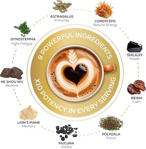 Organic Mushroom Supplement Powder - 10X Concentrated Lion's Mane, Reishi & Cordyceps for Energy & Focus - 30 Servings. in Saudi Arabia