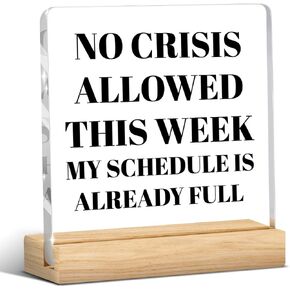 Dumpster Fire Desk Decor, Dumpster Fire Desk Accessories, Funny Office Decor, Coworker Gifts, Inspirational Gifts for Women Men Boss Friend, Acrylic Plaque for Home Office Tabletop Shelf