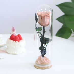 9.8 inches Preserved Rose in Glass Dome Rose with Green Leaves Eternal Love and Natural Beauty for Grandma Mom Girlfriend Classmate Friend Lover (Gray)