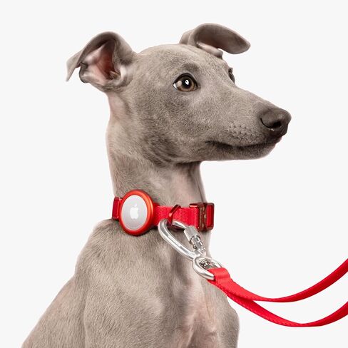 BuddyArmor AirTag Holder, Airtag Case Designed for Pets, Aluminium Alloy GPS Tracking Accessories Protective Cover Suitable for Different Sizes of Pet Collars(Gold) in Kuwait