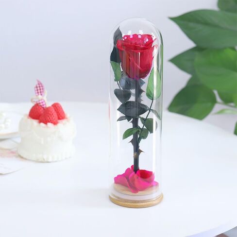 9.8 inches Preserved Rose in Glass Dome Rose with Green Leaves Eternal Love and Natural Beauty for Grandma Mom Girlfriend Classmate Friend Lover (Gray) in Saudi Arabia