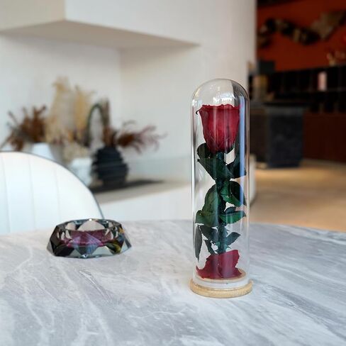 9.8 inches Preserved Rose in Glass Dome Rose with Green Leaves Eternal Love and Natural Beauty for Grandma Mom Girlfriend Classmate Friend Lover (Gray) in Saudi Arabia
