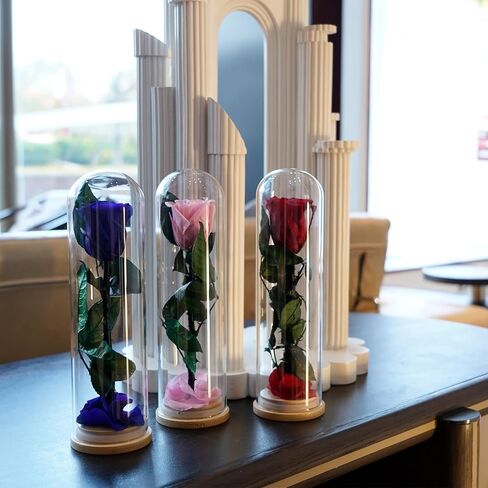 9.8 inches Preserved Rose in Glass Dome Rose with Green Leaves Eternal Love and Natural Beauty for Grandma Mom Girlfriend Classmate Friend Lover (Gray) in Saudi Arabia