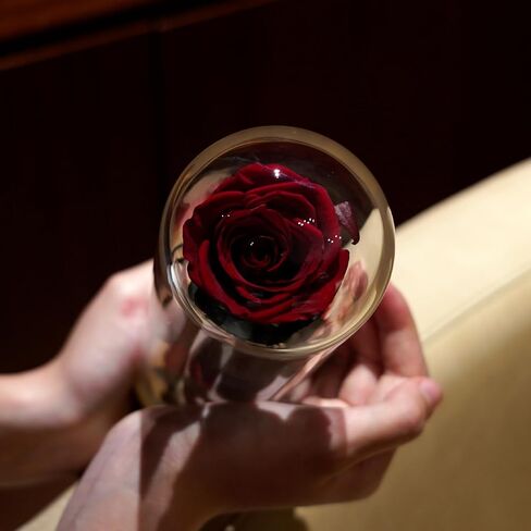 9.8 inches Preserved Rose in Glass Dome Rose with Green Leaves Eternal Love and Natural Beauty for Grandma Mom Girlfriend Classmate Friend Lover (Gray) in Saudi Arabia