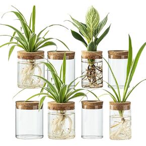 Glass Propagation Stations for Plants -Desktop Flower Vases,Propagation Flower Vases Set – 2 Sizes Planter Propagated Jars,for Plant Cuttings,for Living Room, Bedroom Decoration,Home,Office Decor(4)