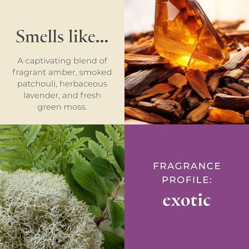 PartyLite Tamboti Woods Scented, Notes of Fragrant Amber, Smoked Patchouli, Lavender & Green Moss, 10oz 1-Wick Aromatherapy Refillable Jar Candle, 50 Hour Burn Time, Sustainable Wax in Reusable Vessel in Kuwait