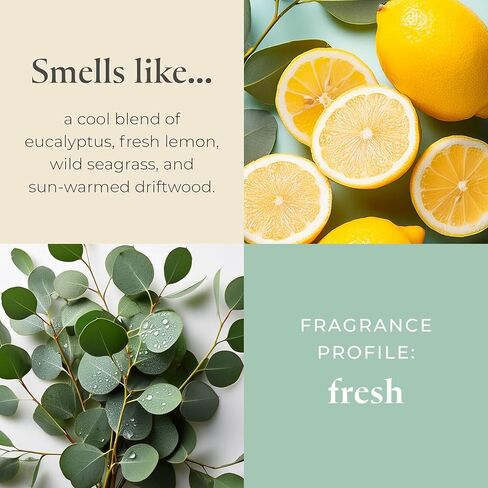 PartyLite Tamboti Woods Scented, Notes of Fragrant Amber, Smoked Patchouli, Lavender & Green Moss, 10oz 1-Wick Aromatherapy Refillable Jar Candle, 50 Hour Burn Time, Sustainable Wax in Reusable Vessel in Kuwait