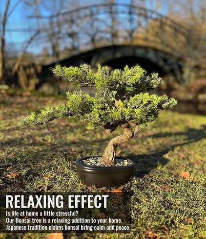 شجرة بونساي الاصطناعية 16 بوصة مع خشب واقعي ووعاء من السيراميك نباتات مزيفة Cypress Juniper Pine Zen Faux Plants for Home Bedroom Office Decor in Saudi Arabia