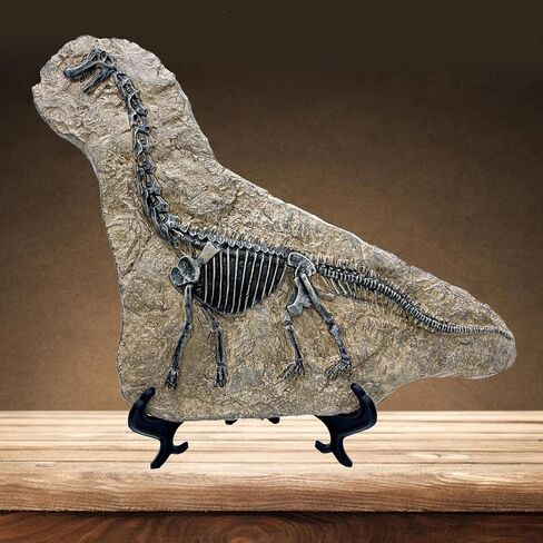 Resin Mosasaurus Dinosaur Fossil Figure Statue Model Simulated Skeleton Home Office Display Decorative Craft Box Decoration (Style 9) in Saudi Arabia